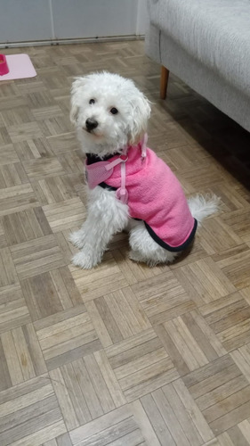 Guarderia Canina + Traslado. Cuidado Y Seguridad