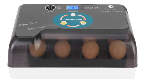 Incubadora Automática 12 Huevos Volteo Inteligente De Huevos