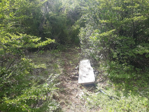 Imagen 7 de 12 de Sobre Ruta 40 - El Foyel