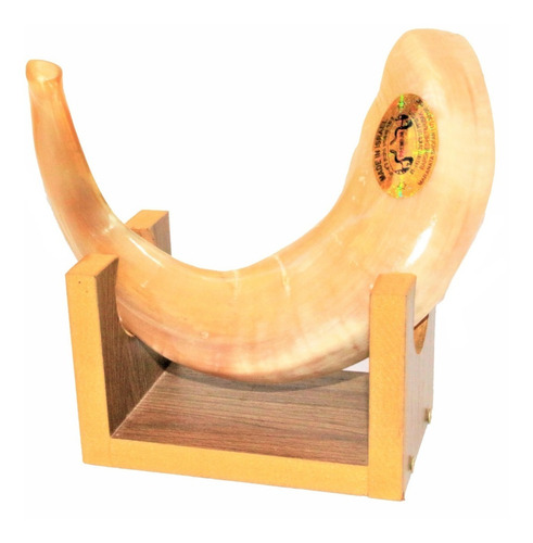 Imagem 3 de 6 de Shofar Chifre De Carneiro De Tocar - De Israel 40-44 Cm