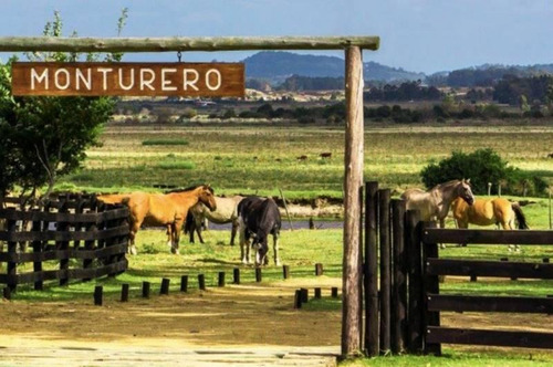 Imagen 2 de 20 de Chacra En Venta En Maldonado, El Quijote 196