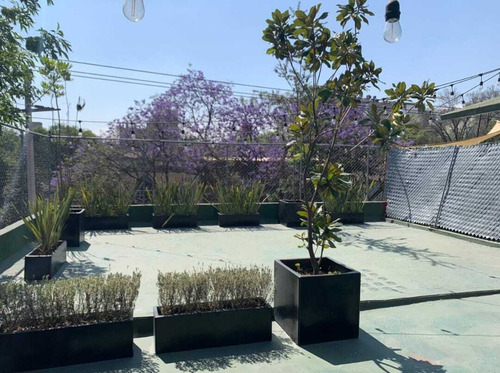 Roma Norte Primer Piso Con Roof Garden