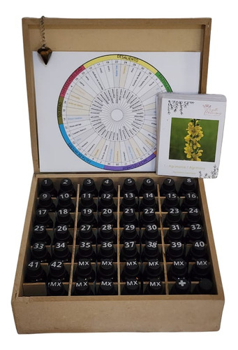 Kit Flores De Bach 56 Frascos + Curso Para Ser Terapeuta