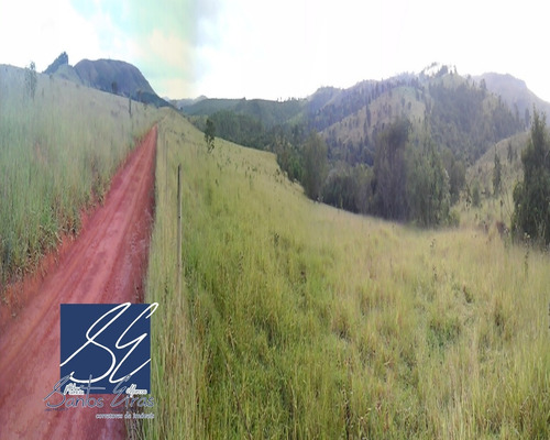 Imagem 3 de 27 de Fazenda - Fa00002 - 4589514