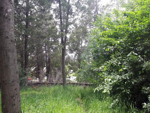 Imagen 6 de 18 de Terreno - Cerro Runge