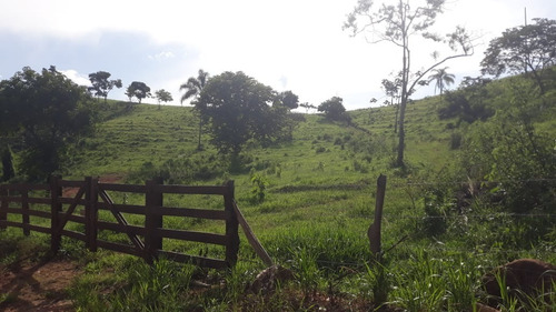 Imagem 21 de 30 de Vendo Fazenda Dupla Aptidao Regiao De Poços De Caldas (6176 )