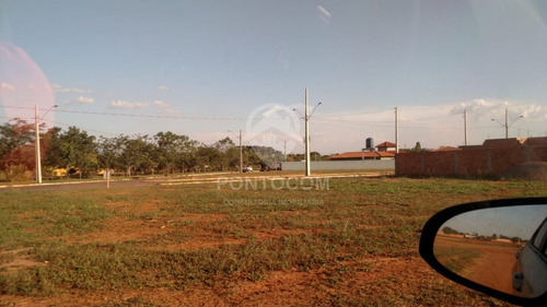 Imagem 10 de 12 de Áreaa Rural- Narandiba - 3840951v
