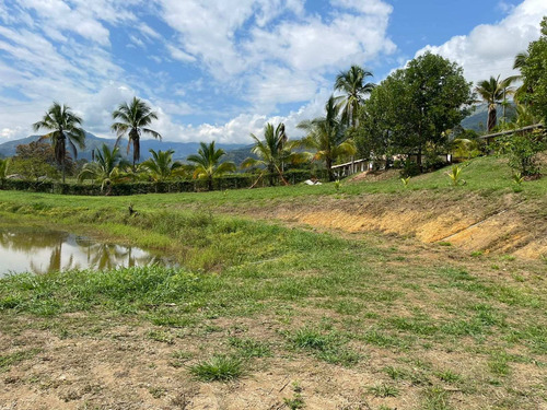 Imagen 19 de 30 de Espectacular Finca Clima Caliente En Venta Porce