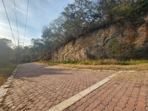 Venta Lote Gladiola 26 En Calle Privada Con Bonitas Vistas, Proyecto Incluído Y Con Todos Los Servicios En Fraccionamiento Rancho San Diego Ixtapan De La Sal Edomex