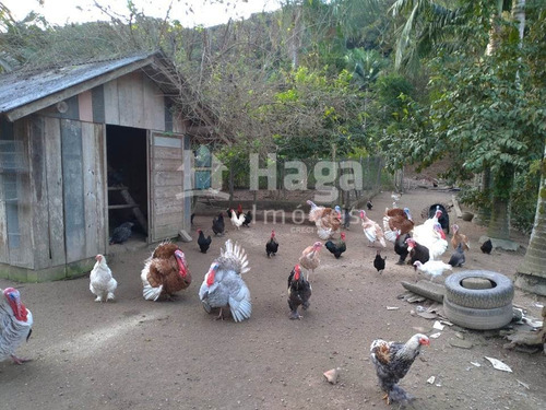 Imagem 30 de 30 de Chácara À Venda Em Guabiruba/sc - 1144c