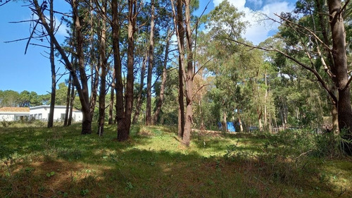 Imagen 9 de 17 de Lote En Venta En La Barra (ref: Atm-6651)