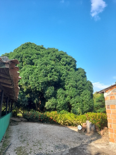 Imagen 3 de 6 de Casa Finca Con Piscina, Lago Y Pozo