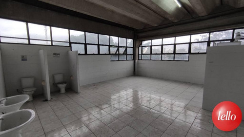 Imagem 18 de 30 de Comercial/industrial - Ref: 140593