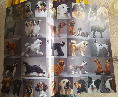 Revistas National Geographic - Lote (Usado)