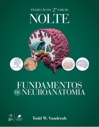 Nolte Fundamentos de Neuroanatomia, de VANDERAH, Todd W.. Editora Gen – Grupo Editorial Nacional Part S/A, capa mole em português, 2019