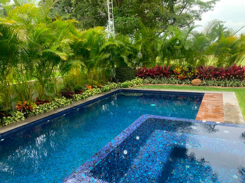 Imagen 4 de 14 de Preciosa Residencia Colindante Al Green
