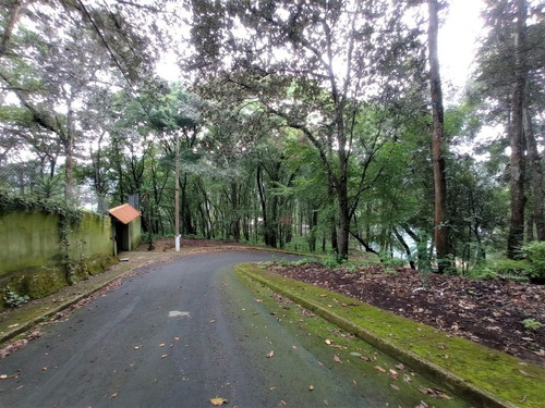 Imagen 4 de 30 de Vendo Preciosa Granja, Rodeada De Naturaleza, Excelente Ubicacion