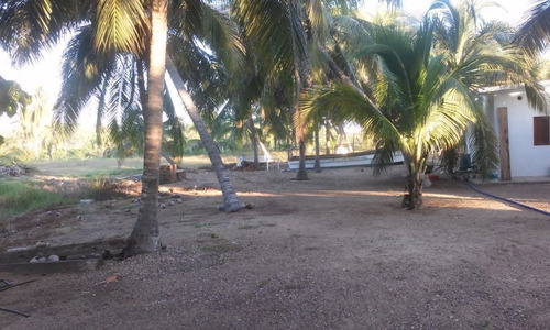 Imagen 9 de 14 de Terreno En Venta Las Brisas