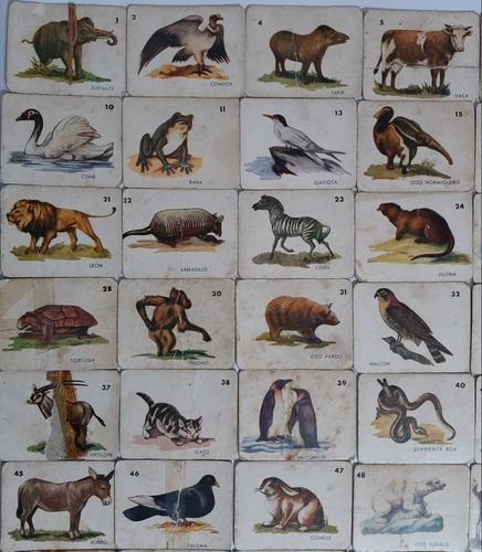 Imagen 4 de 8 de Antiguas Figuritas Animales Cartón Lote X 60 Ro 293