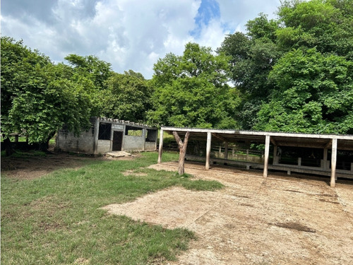 Impresionante Rancho En Manuel Avila Camacho - Tonalá