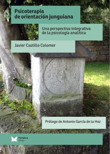 Psicoterapia De Orientación Junguiana - Javier Castillo C...