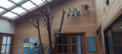 Se Vende Cómoda Y Acogedora Propiedad En Ancud