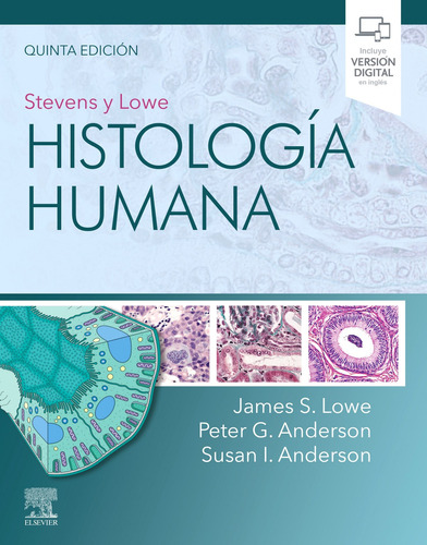 Stevens Y Lowe Histologia Humana 5a Ed  - Stevens Lowe