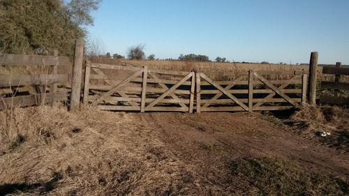 142 Hectareas Mixtas En Navarro