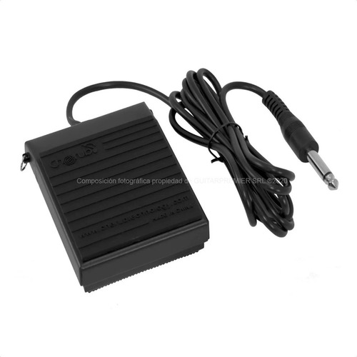 Pedal Sustain Para Teclado Organo Piano Profesional Garantia