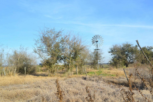 Imagen 8 de 13 de Campo En Venta En Cañuelas Sobre Ruta 6 , Km 99