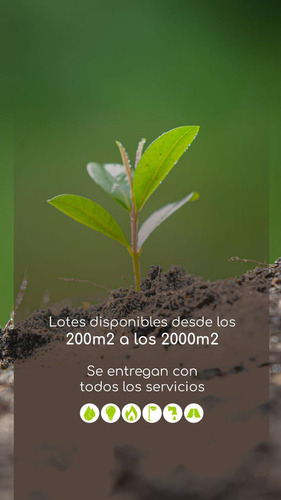 Imagen 6 de 17 de Loteo Crouzeilles - Preventa