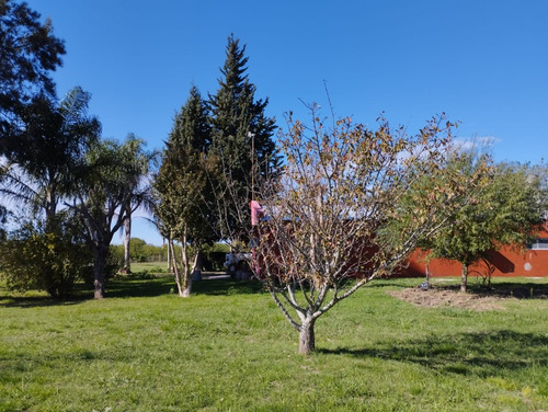 Venta O Permuta Financiacion Casa De Campo 3000 M2 Chacra A 1km De Ruta Provincial 12