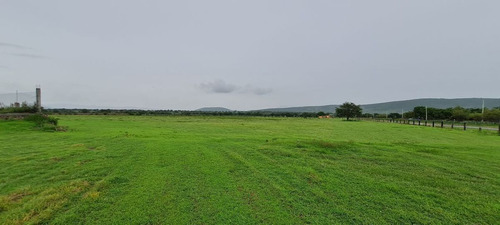 Aeródromo En Venta En Tequesquitengo, Morelos.