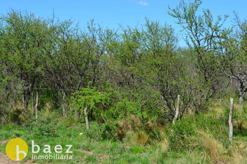 Lote De 3000m2 En Barrio Justino , Cortaderas