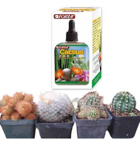 Kit De Cactus + Fertilizante Regalo Para Mamá