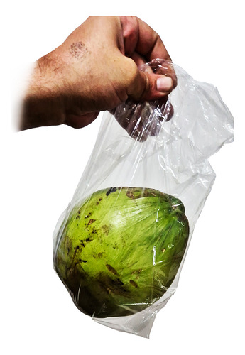 100 Saco Plástico 25x35 Freezer Fruta Lixo Transparente 0,06