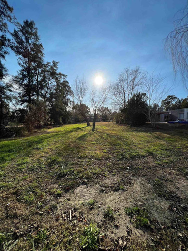 Imagen 9 de 15 de Lote Terreno Venta Mil Metros Excelente