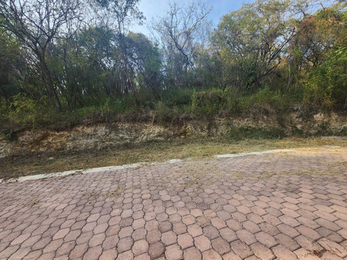 Venta Lote Gladiola 31 Muy Cerca De La Entrada Y En Nueva Zona De Fracc Rancho San Diego Ixtapan De La Sal Edomex Con Todos Los Servicios Y Proyecto Incluído