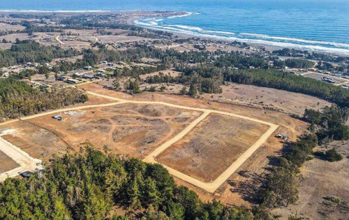 Imagen 4 de 21 de Condominio Alto Morro / Punta Lobos