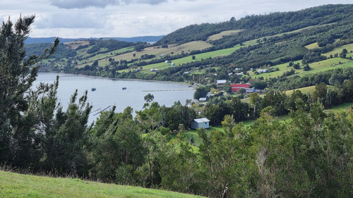Vende Hermoso Predio De 7,38 Hás En Isla Tranqui, Chiloé!