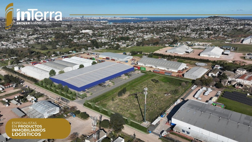 Alquiler Naves/depósito Aaa A Minutos Del Puerto De Montevideo Casi Sobre Los Accesos. Zona Habilitada. Sprinklers, Docks, 12 Metros Altura Libre, Aislación. Nave Premium. Ruta 1, Bajo De La Petisa