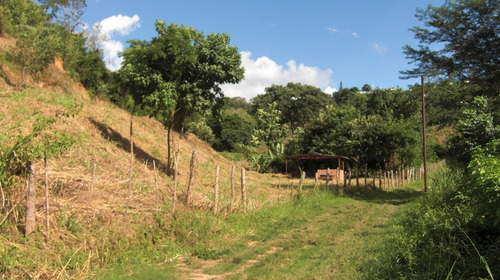 Imagen 10 de 30 de Cerca Del Cc Daymar Guatire 04143184932