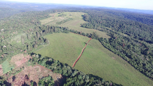 Chacra En Vanta San Vicente Misiones
