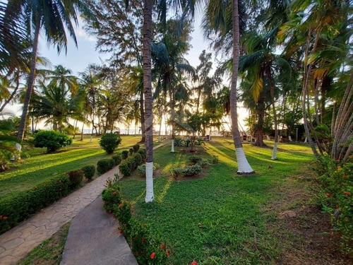 Imagen 16 de 17 de Apartamento En Venta En Lecheria Res. Árbol Para Vivir