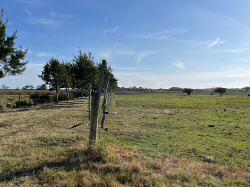 Venta Chacra La Mansa