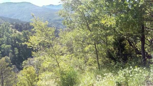 Grupo Patagonia Vende 4,2 Hectáreas Con Costa De Arroyo Camino A Valle Escondido, San Martín De Los Andes, Neuquén, Patagonia Argentina. 471479