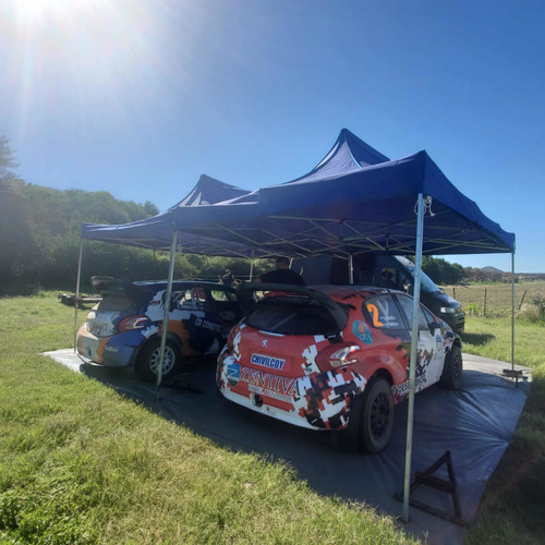 Maxi Rally Peugeot 208