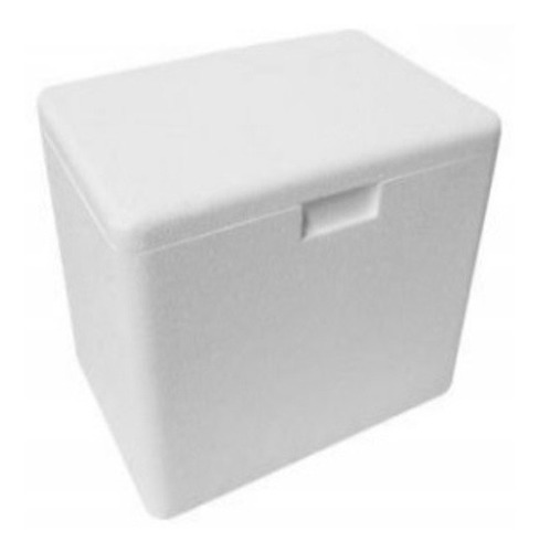 Caixa De Isopor Termica Branca 10 Litros C/ Tampa - Goldpac