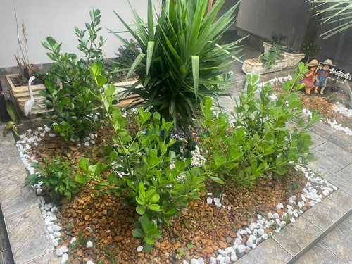 Imagem 7 de 29 de Casa A Venda 3 Quartos Com Suíte, 2 Vagas De Garagem No Bairro Industrial - 26722