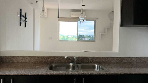Imagen 12 de 14 de Se Alquila Apartamento En Parque Lefevre.
